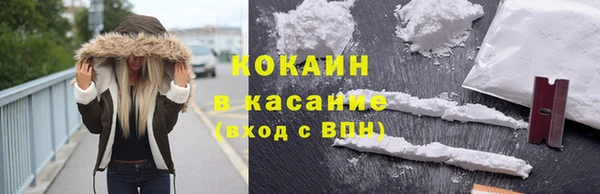 твердый Вяземский