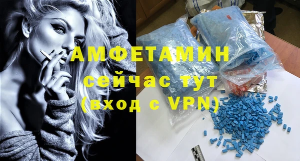 твердый Вяземский