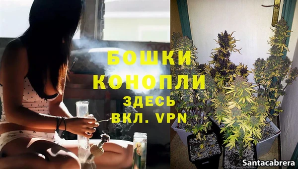 твердый Вяземский