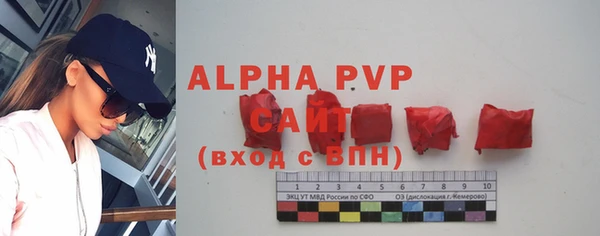 твердый Вяземский