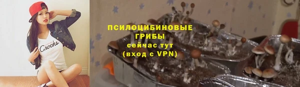 твердый Вяземский