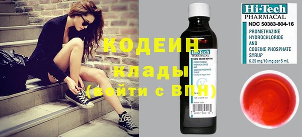 твердый Вяземский