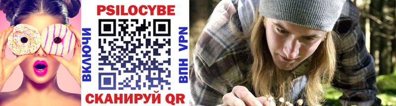 Псилоцибиновые грибы Cubensis Александровское