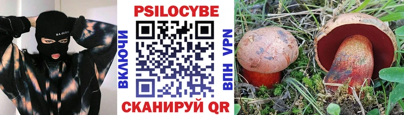 Купить где  Александровское  Галлюциногенные грибы ЛСД 